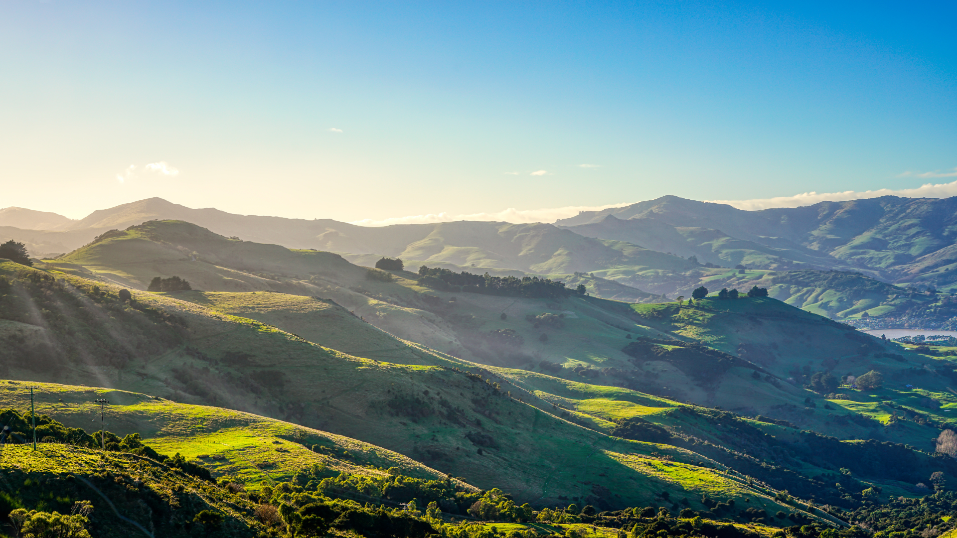 Minden, Tauranga countryside